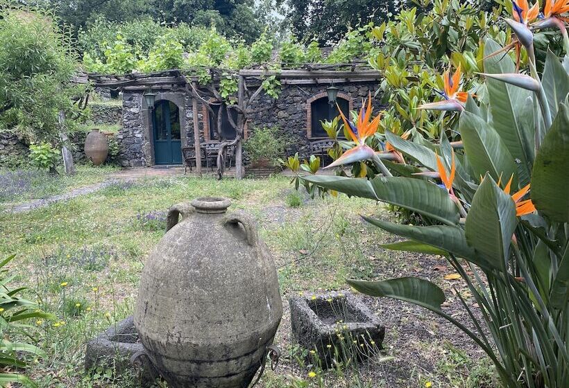 Bed And Breakfast Il Glicine