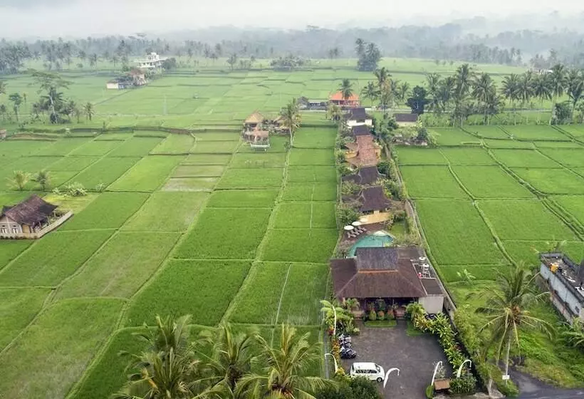 Hostelli Kabinawa Ubud Villas By Pramana Villas