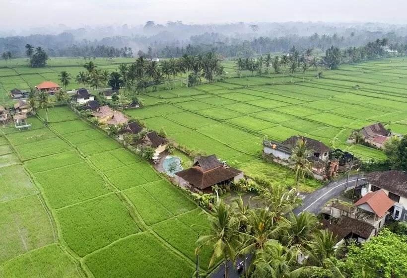 Hostelli Kabinawa Ubud Villas By Pramana Villas