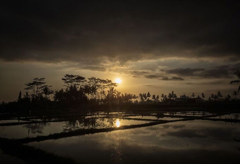 فندق فئة نجمة واحدة Kabinawa Ubud Villas By Pramana Villas