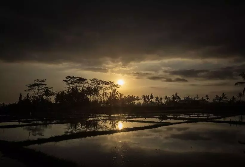 Hostelli Kabinawa Ubud Villas By Pramana Villas