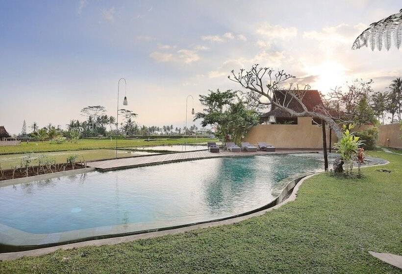 فندق فئة نجمة واحدة Kabinawa Ubud Villas By Pramana Villas
