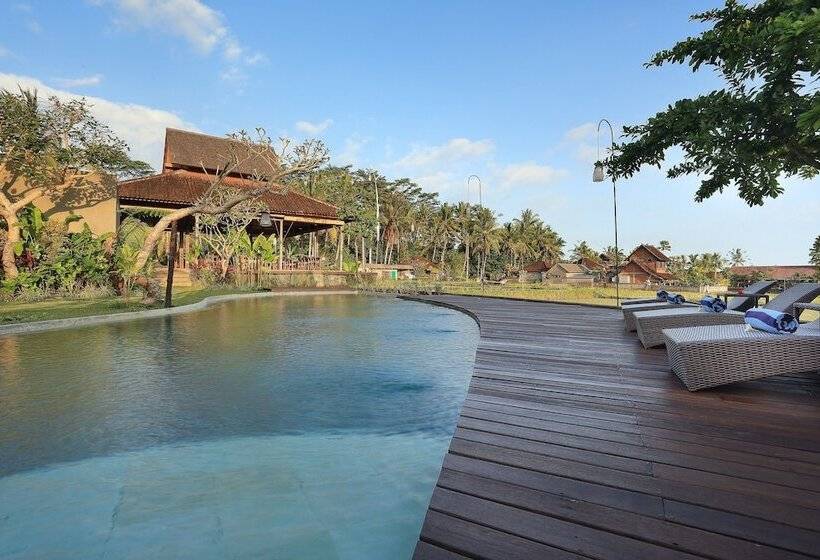 فندق فئة نجمة واحدة Kabinawa Ubud Villas By Pramana Villas