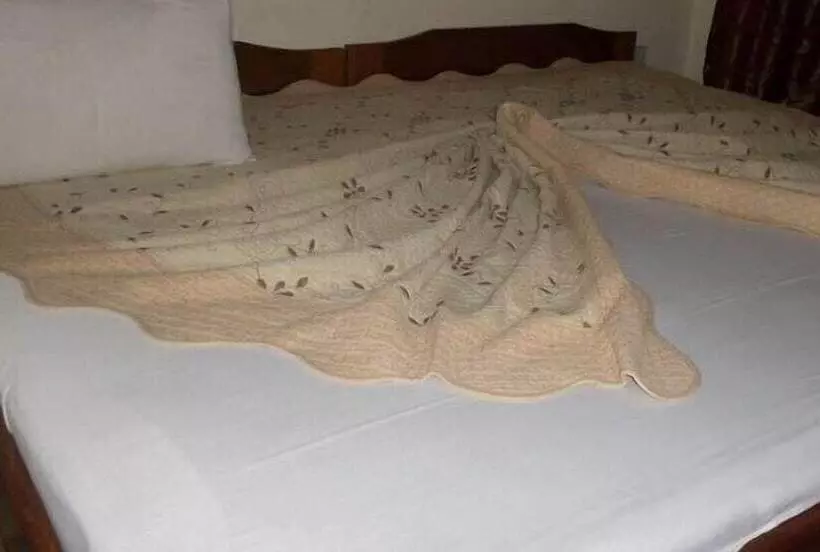 Hotelli Boy Boison Elite