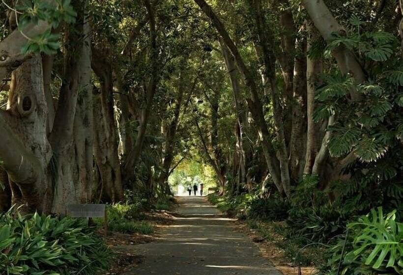 בית מלון כפרי Frewville Motor Inn