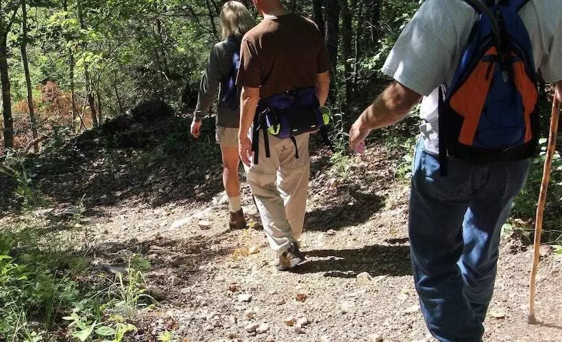 Hotelli Frewville Motor Inn