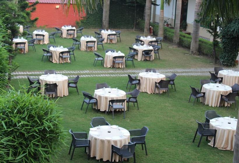 فندق The Tiger Groove Resort