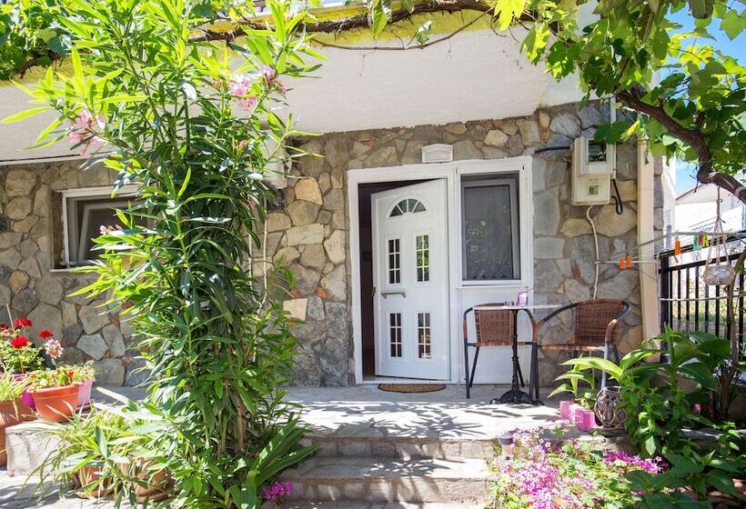 Famelia Studios Lampiris