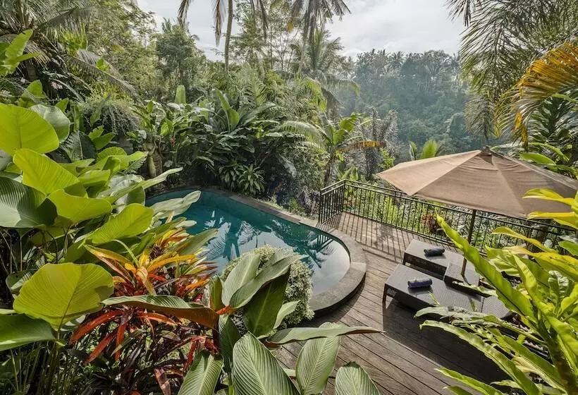 ベッドアンドブレックファースト Mandana Ubud Villa