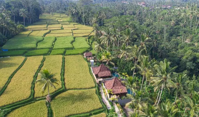 ベッドアンドブレックファースト Mandana Ubud Villa