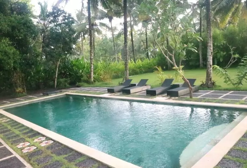 ベッドアンドブレックファースト Ubud Batan Nyuh Bed Breakfast & Spa
