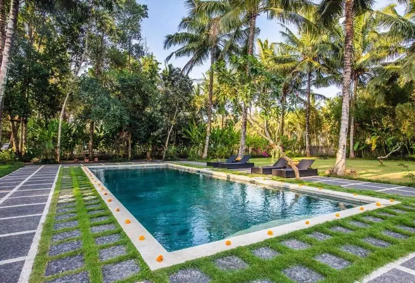 ベッドアンドブレックファースト Ubud Batan Nyuh Bed Breakfast & Spa