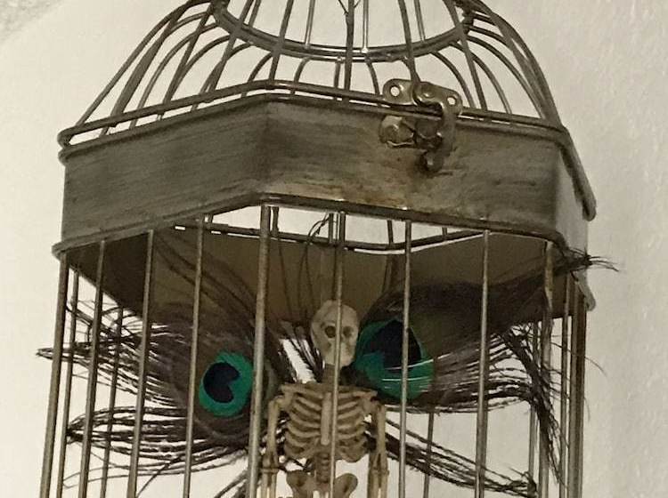 Celestial Rose Bed & Breakfast