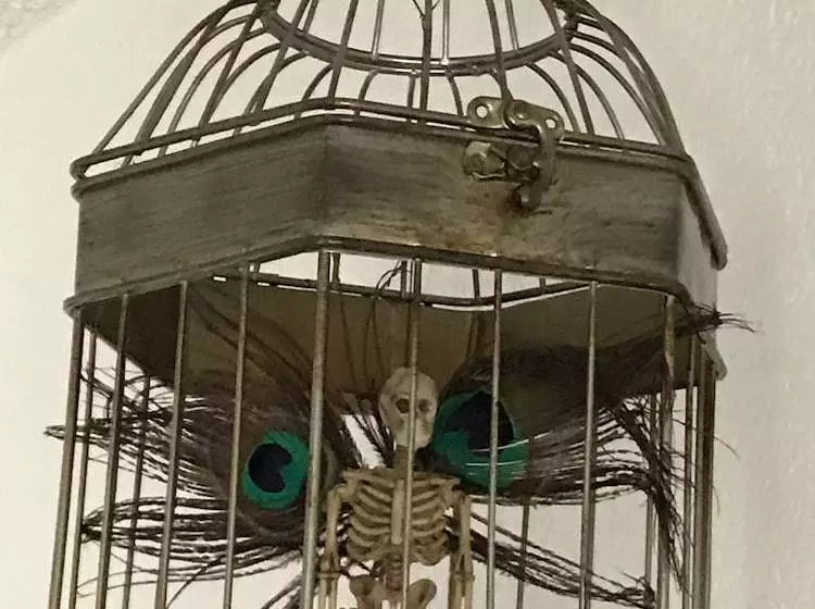 Celestial Rose Bed & Breakfast