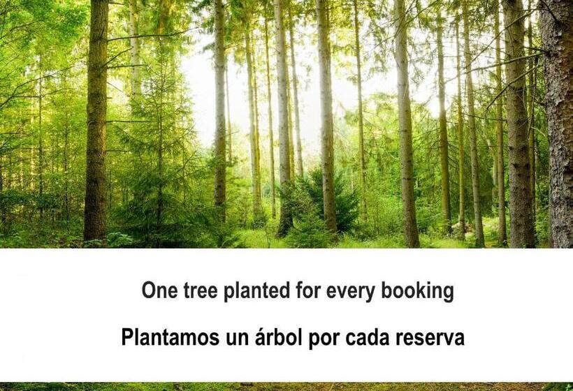 Fidalsa White House Premium