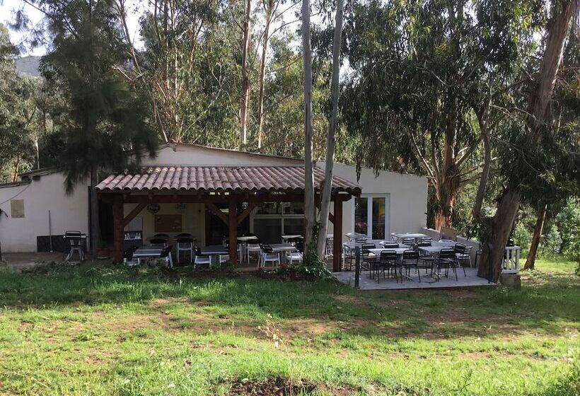 فندق فئة نجمة واحدة Camping Du Soleil