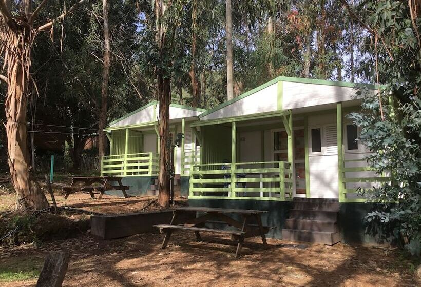 فندق فئة نجمة واحدة Camping Du Soleil