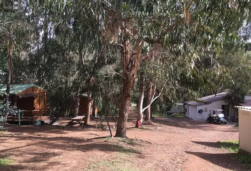 Hostelli Camping Du Soleil