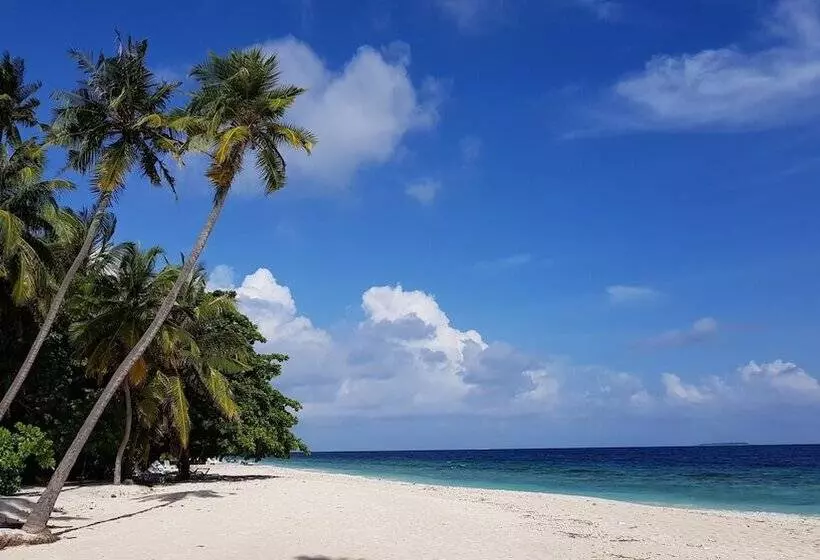 هتل Blue World Dharavandhoo