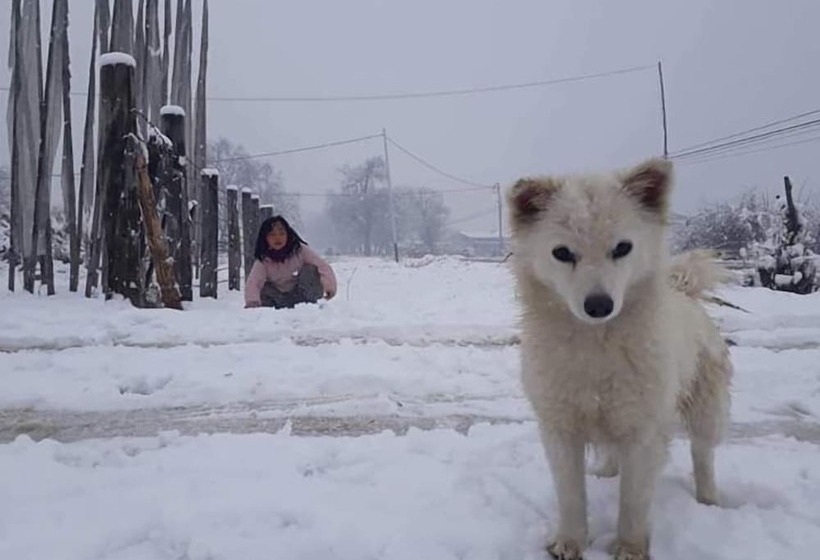 Szálloda Golden Roots Resorts & Spa