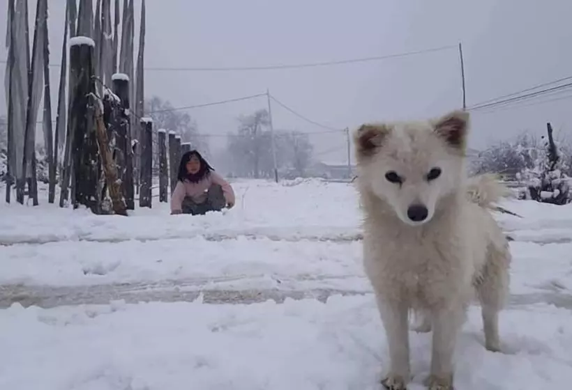 هتل Golden Roots Resorts & Spa