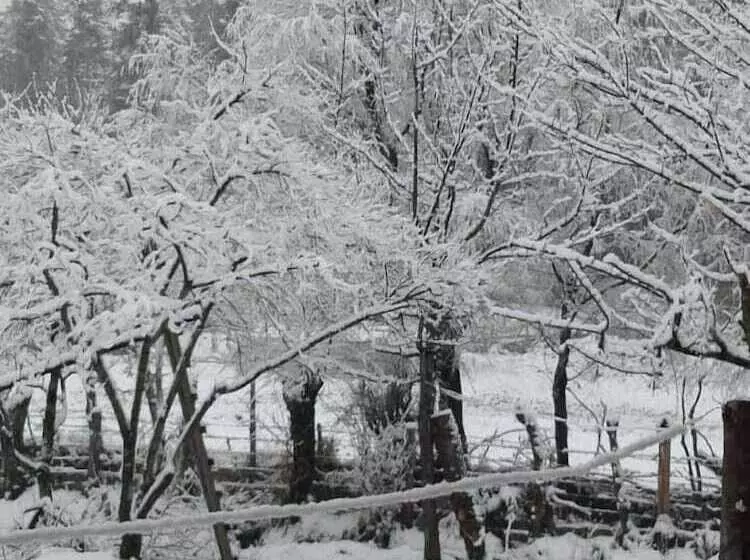 هتل Golden Roots Resorts & Spa