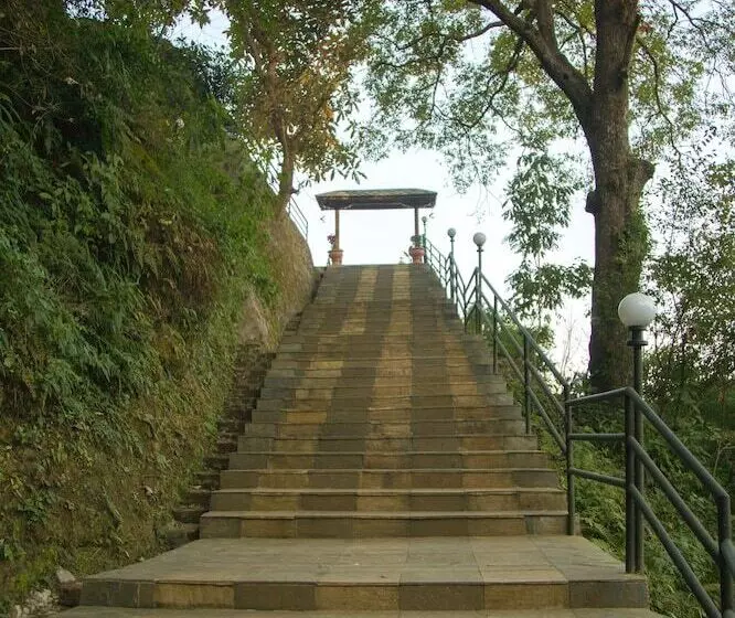 هتل The Lapsi Tree