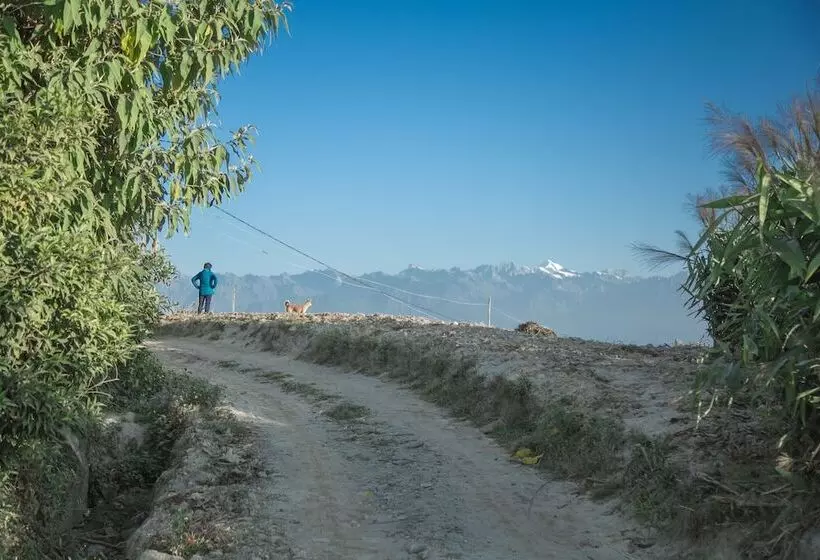 هتل The Lapsi Tree