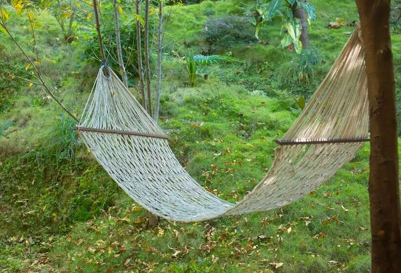 هتل The Lapsi Tree