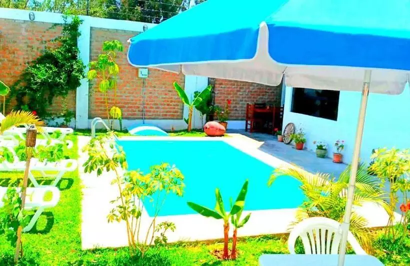 تختخواب و صبحانه Diamond Monkey Lodge