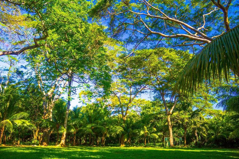 בית מלון כפרי Estero Y Mar