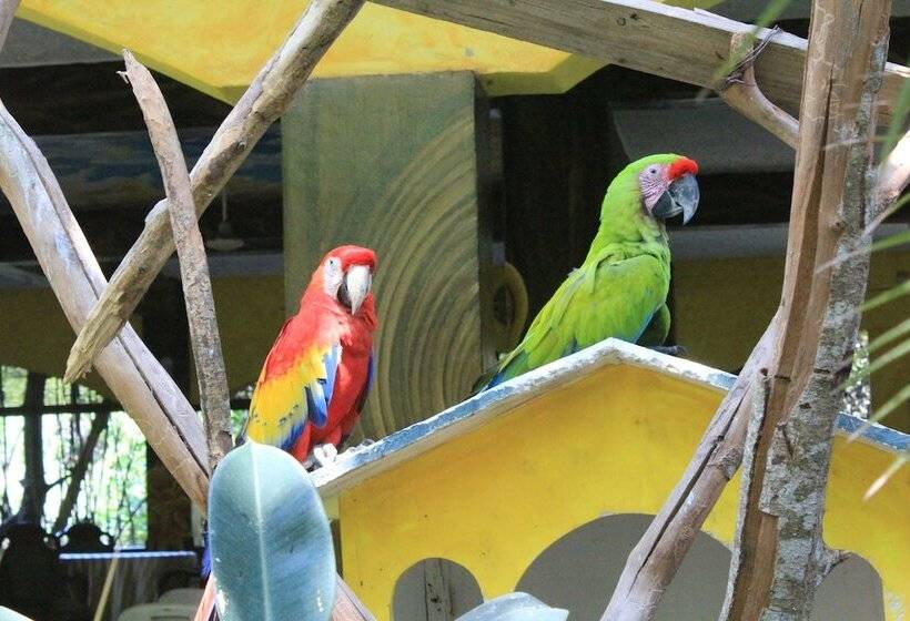 בית מלון כפרי Estero Y Mar