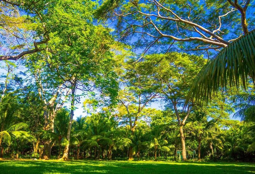 בית מלון כפרי Estero Y Mar