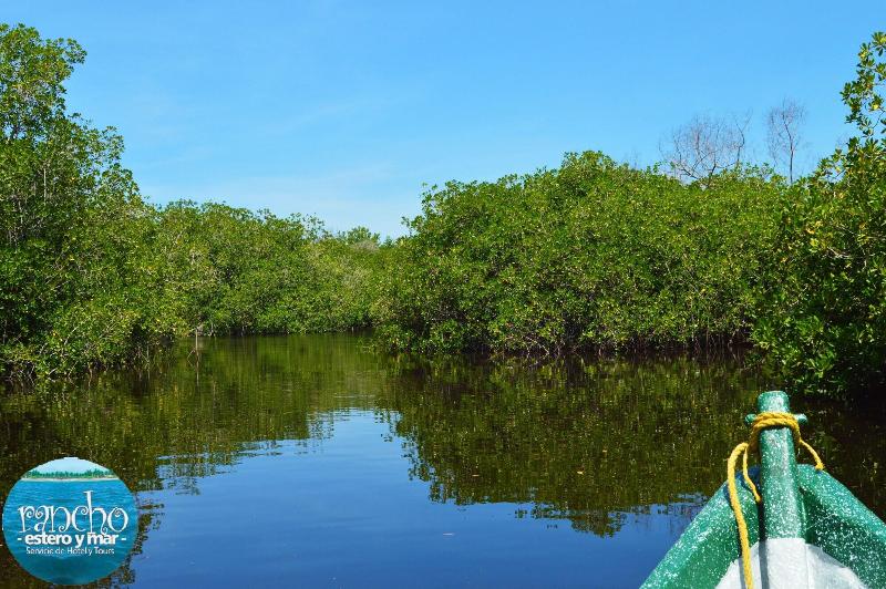 בית מלון כפרי Estero Y Mar
