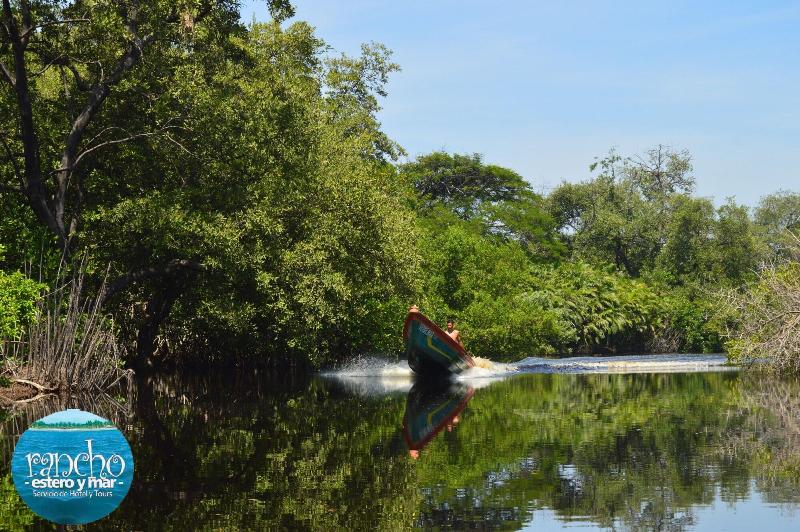 בית מלון כפרי Estero Y Mar