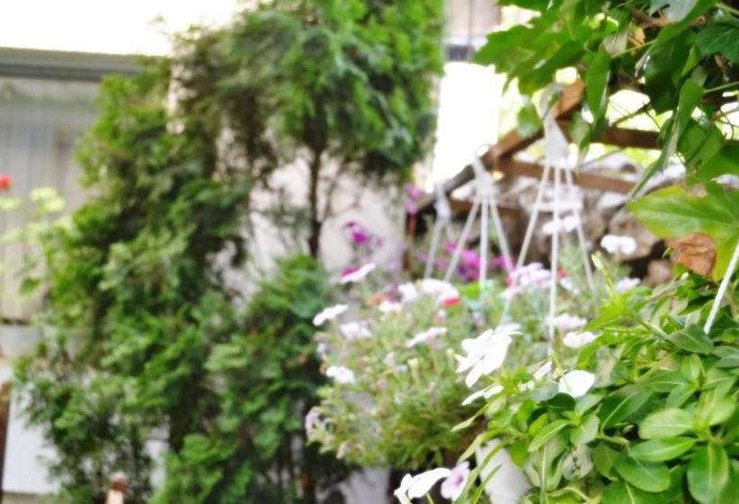 בית מלון כפרי Rade 1