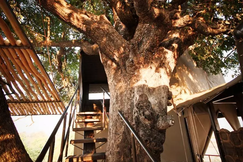 هتل Jackalberry Tented Camp