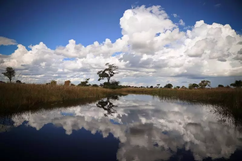 هتل Jackalberry Tented Camp