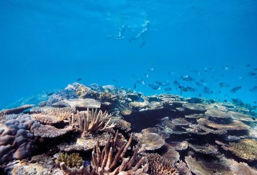 Elysian Luxury Eco Island Retreat