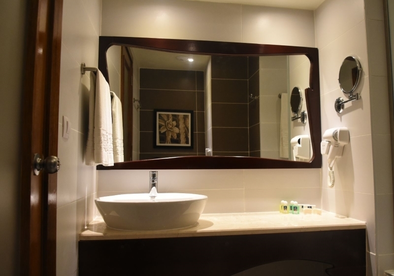 Fotos del hotel Palacio Cueto:  11