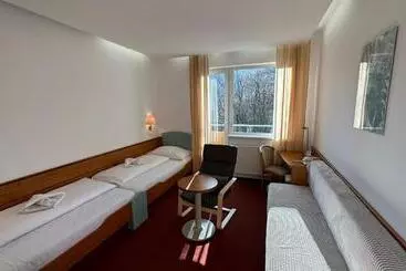 Interhotel Montana