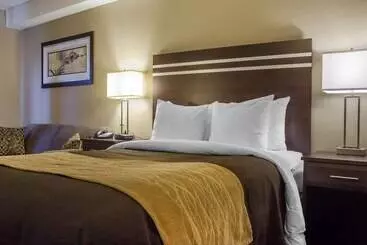 Отель Comfort Inn