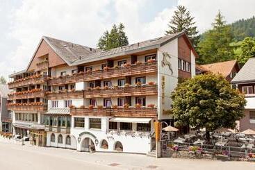 فندق Hirschen Wildhaus
