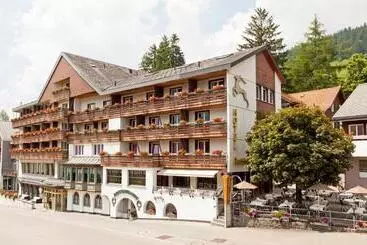 בית מלון כפרי Hirschen Wildhaus