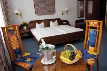 酒店 Alter Speicher