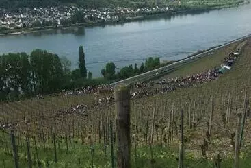 Hotelli Rhein Wagner