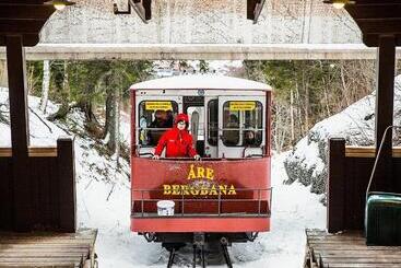 هتل L Fjällgården åre