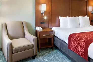 فندق Comfort Inn & Suites San Francisco Airport North