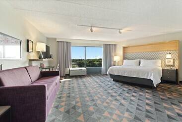 ホテル Holiday Inn Chicago Nw Crystal Lk Conv Ctr, An Ihg