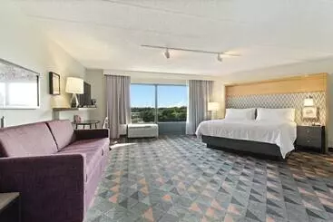 ホテル Holiday Inn Chicago Nw Crystal Lk Conv Ctr, An Ihg